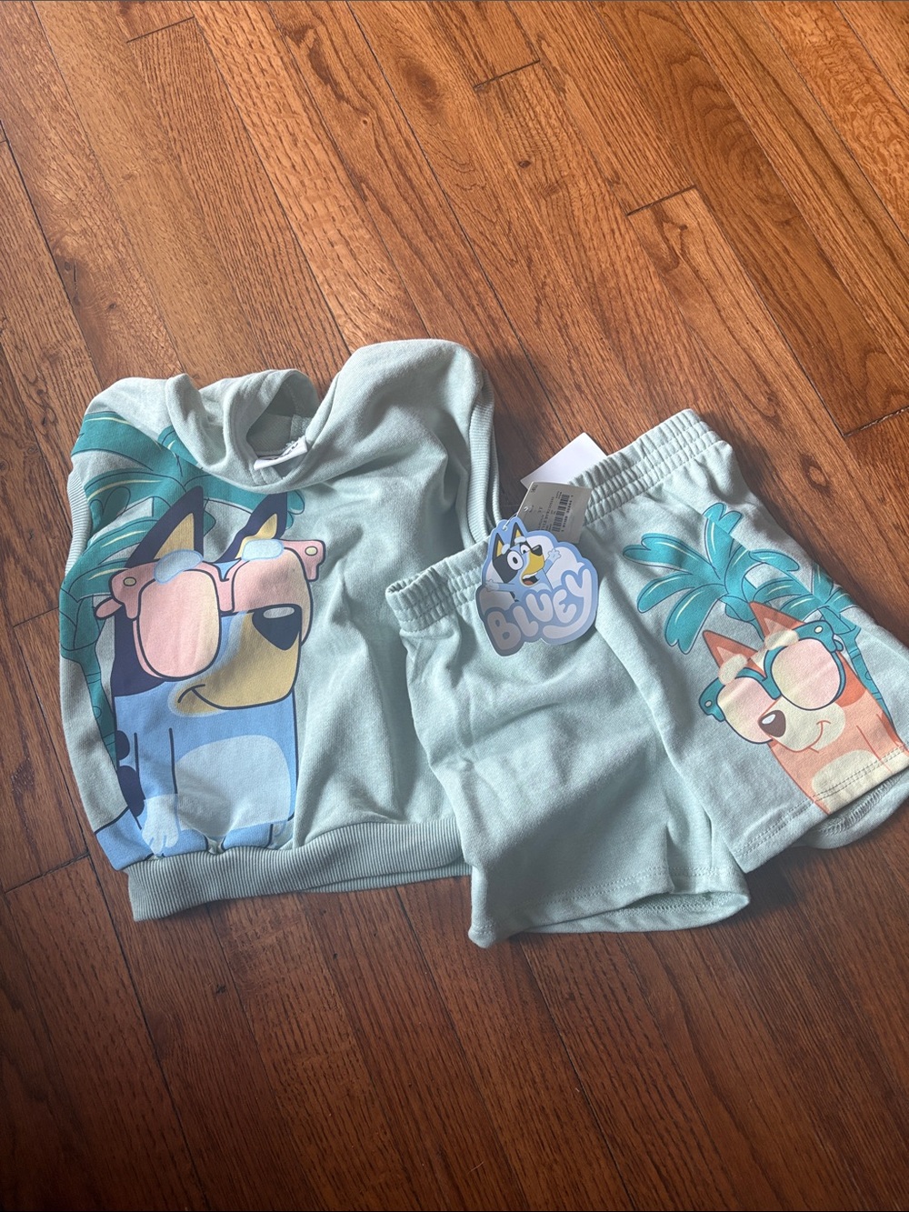 BLUEY Light Green two piece hoodie short set.